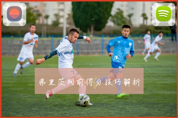 弗里茨网前得分技巧解析