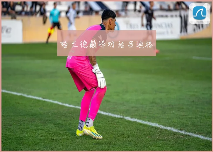 哈兰德巅峰对话吕迪格