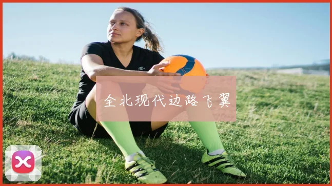 全北现代边路飞翼