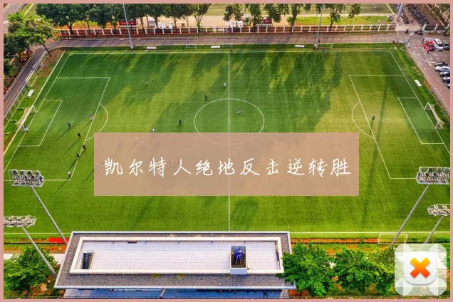 凯尔特人绝地反击逆转胜